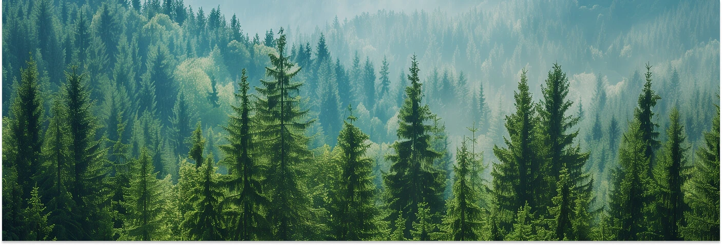 Environmental Stewardship